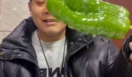 建湖网红吃瓜事件视频,一场网络热议的幕后真相揭秘